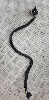 Ignition lock cable
