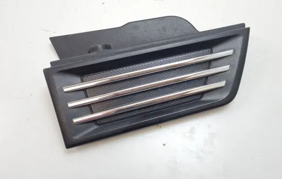 Fender trim (molding)