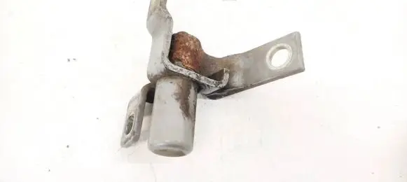 Rear door lower hinge