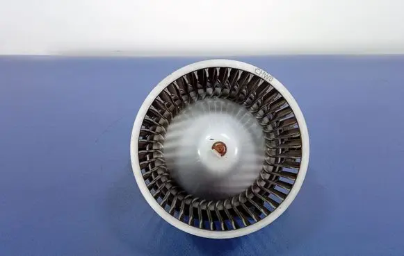 Hyundai Sonata Heater fan/blower F00S330024