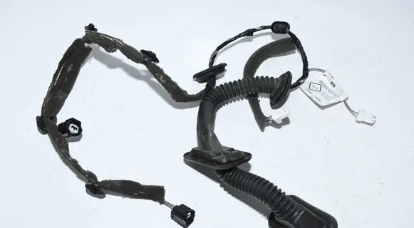 Dacia Sandero II Front door wiring loom 241243959R