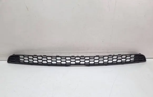 BMW X5 E70 Front bumper lower grill 