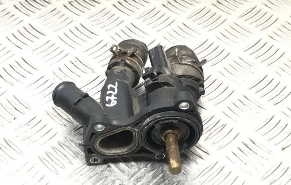 Thermostat/thermostat housing