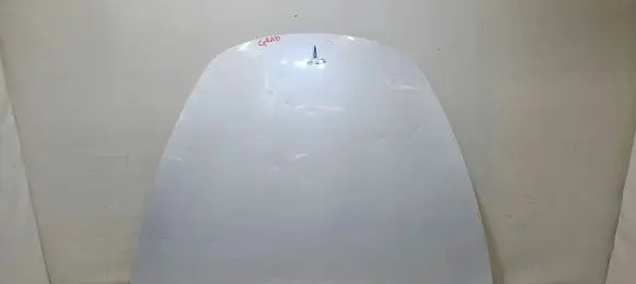 Tesla Model 3 Engine bonnet/hood