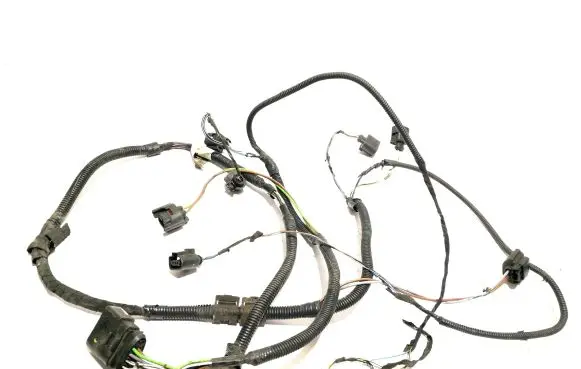 Audi A8 S8 D3 4E Parking sensor (PDC) wiring loom 4E0971095DH