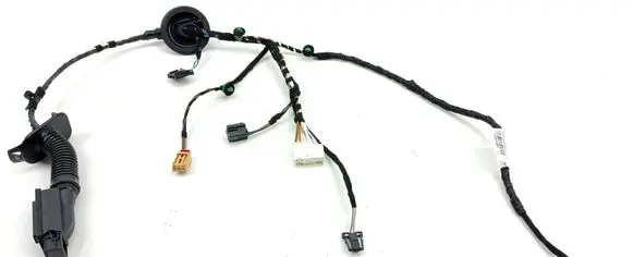 Front door wiring loom
