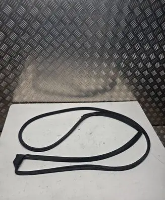 Toyota RAV 4 (XA40) Rubber seal rear door