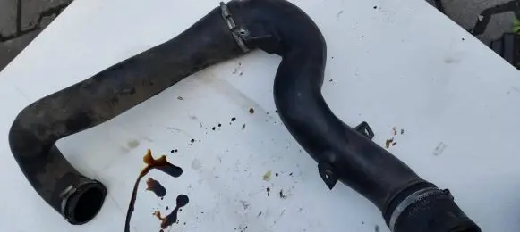 Opel Signum Engine coolant pipe/hose 12790720 55319BA0