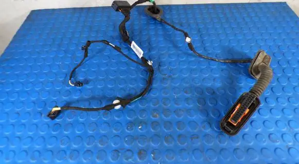 Volkswagen Jetta VI Rear door wiring loom 5C7971694P 7628503