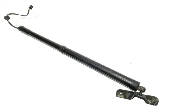 Ford C-MAX II Tailgate/trunk strut/damper AM51R404C84AC