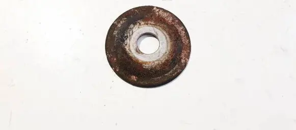 Coil spring mount