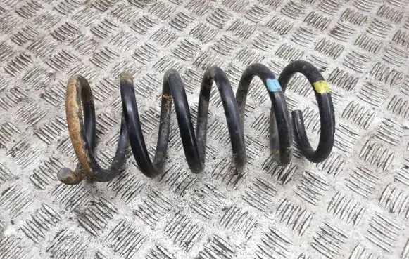 Opel Antara Rear coil spring