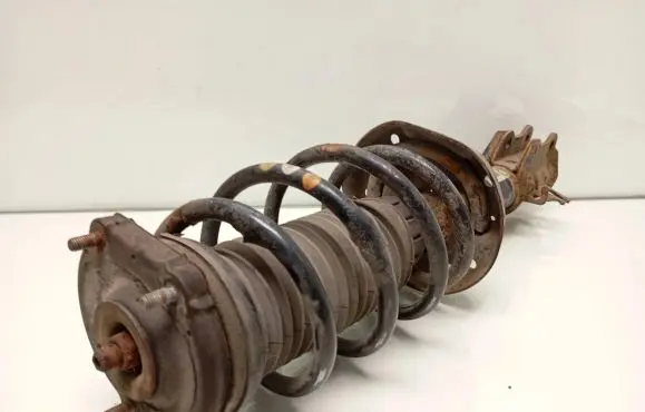 Fiat Doblo Front shock absorber with coil spring 51880839