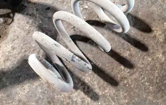 Rear coil spring