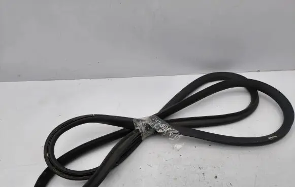 Trunk rubber seal (body)