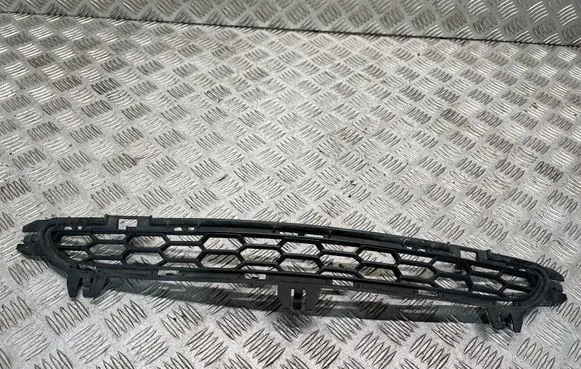 BMW X3 F25 Front bumper lower grill 8048096