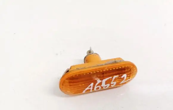 Front fender indicator light