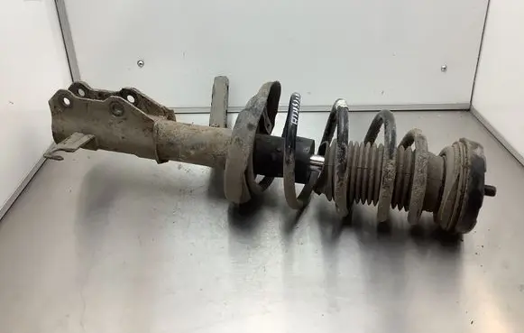Opel Insignia A Front shock absorber with coil spring 