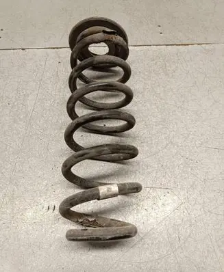 Rear coil spring