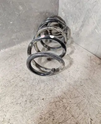 Rear coil spring
