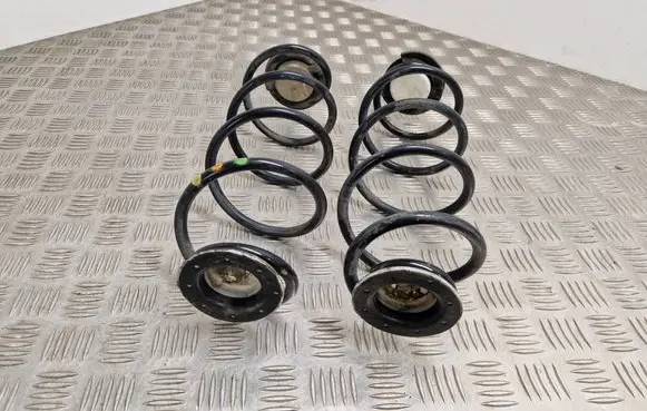 Rear coil spring