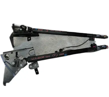 Tailgate strut