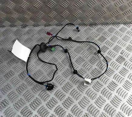 Mercedes-Benz AMG GT R190 C190 Front door wiring loom A1905400333