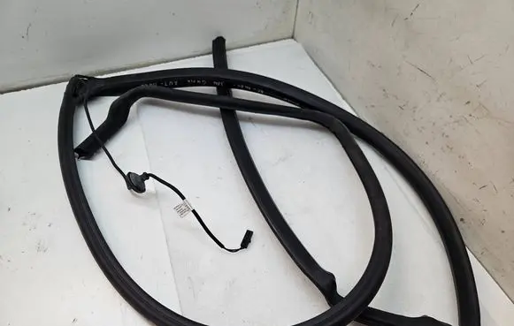 Volkswagen ID. Buzz Rubber seal sliding door (on door) 1T3843786D 3024996 A0001631