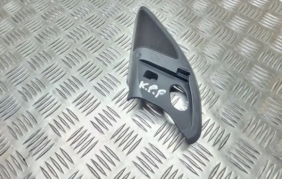 Front door high frequency speaker