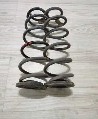 Rear coil spring