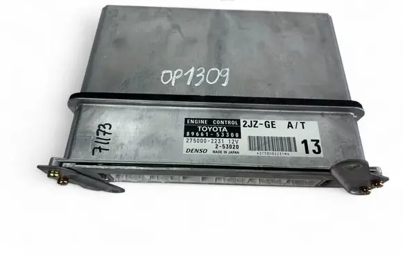 Engine control unit/module ECU