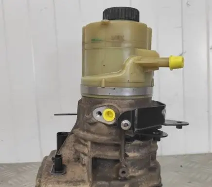 Renault Trafic III (X82) Power steering pump 491100616R 93457191