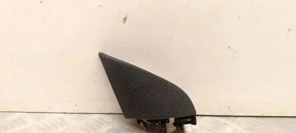 Tesla Model 3 Front door speaker 109565700F