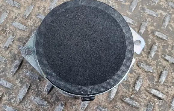 Panel speaker