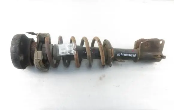Nissan Primastar Front shock absorber with coil spring MGA5678