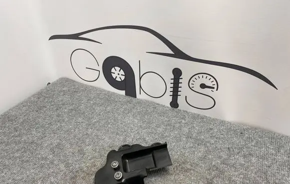 Tesla Model S Other front door trim element 100841300C PA6GF11115
