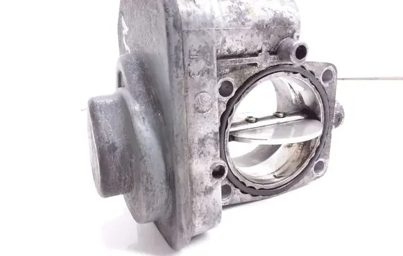 Throttle body valve