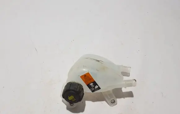 Renault Espace VI Coolant expansion tank/reservoir 217100984R
