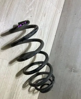 Rear coil spring