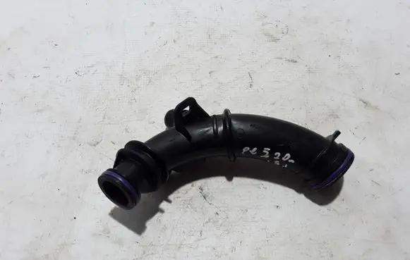Peugeot 2008 II Brake vacuum hose/pipe Z12002107