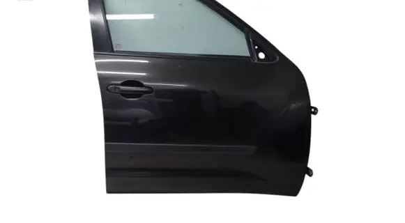 Nissan Juke I F15 Front door