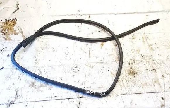 Nissan Leaf I (ZE0) Rubber seal rear door 