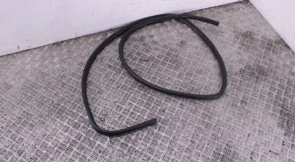 Dodge RAM 1500 DS Rear door rubber seal (on body) 55369282AB