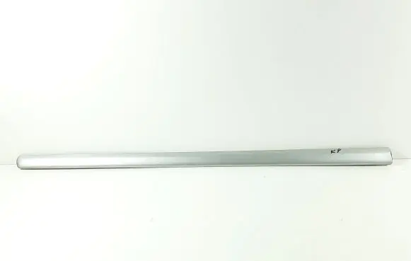 Front door trim (molding)