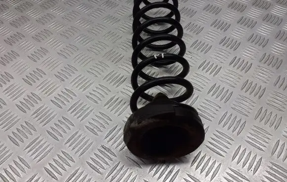 Renault Megane II Rear coil spring