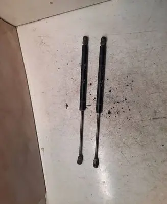 Tailgate/trunk strut/damper