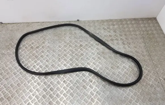 Renault Clio V Front door rubber seal 