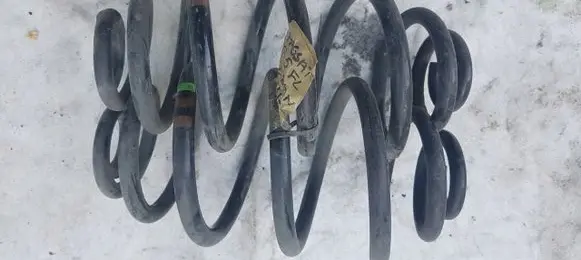 Volkswagen PASSAT B5 Rear coil spring