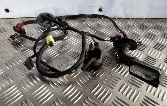 Front door wiring loom