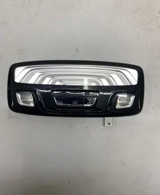 BMW 5 G30 G31 Rear seat light 43684861403 20829860